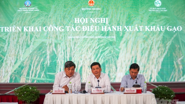 Việt Nam vẫn đảm bảo an ninh lương thực khi nhu cầu xuất khẩu gạo tăng