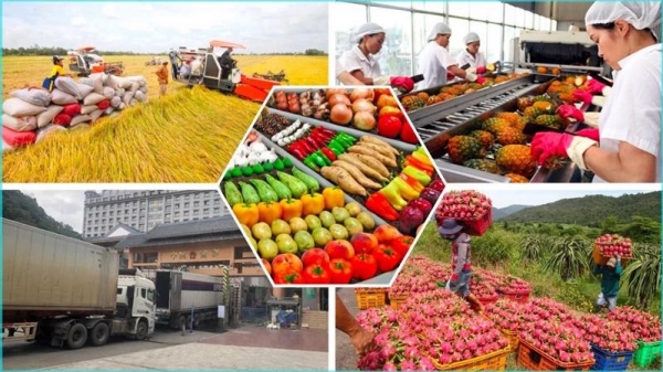 Hơn 15 tỷ USD sản phẩm nông nghiệp đã được xuất khẩu