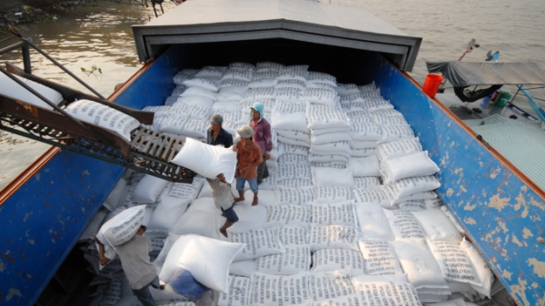 Thủ tướng cho xuất khẩu gạo: Động lực và lạc quan