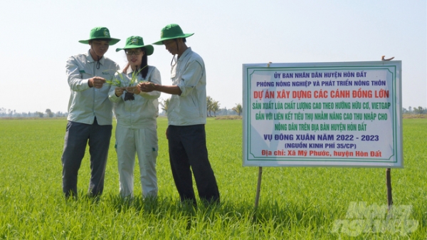 Kiên Giang: Đổi mới hoạt động khuyến nông gia tăng dịch vụ phục vụ nông dân