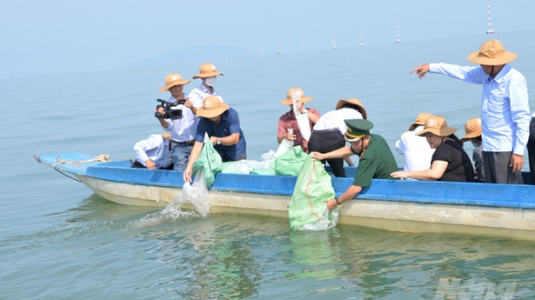 Kiên Giang: Thả hơn 5 triệu con tôm giống về vùng biển tự nhiên