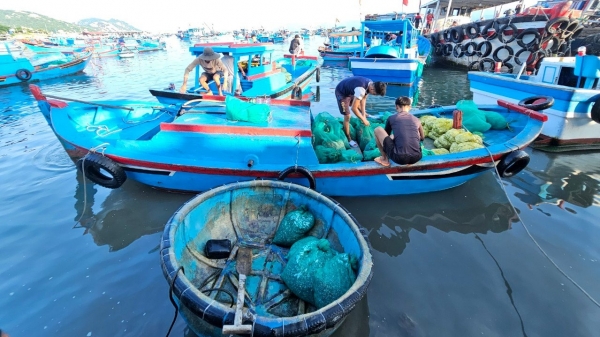 Dùng túi lưới đựng thức ăn, hạn chế rác thải, bảo vệ môi trường biển