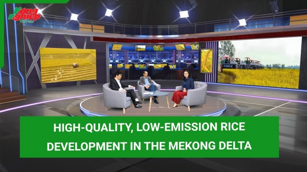 High-quality, low-emission rice development in the Mekong Delta