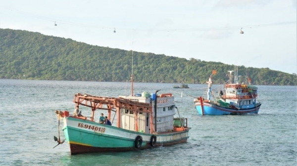 Launching a project to safeguard the Mekong Delta coastal ecosystem