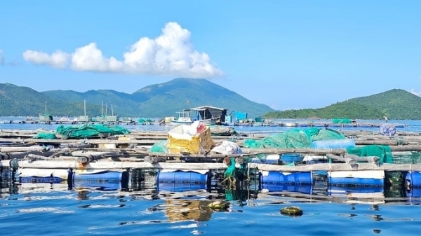 Challenges in Khanh Hoa province's marine farming sector