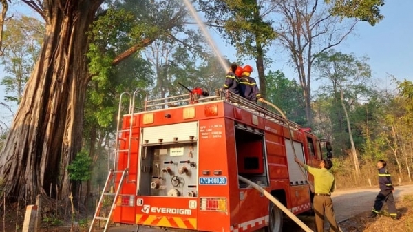 Thủ tướng chỉ đạo tăng cường các biện pháp phòng cháy, chữa cháy rừng