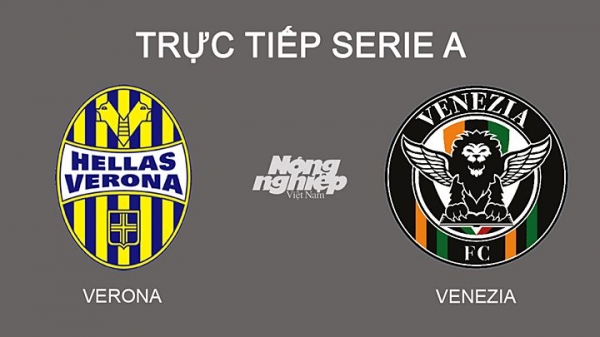 Trực tiếp Verona vs Venezia giải Serie A trên ON Sports+ hôm nay 27/2