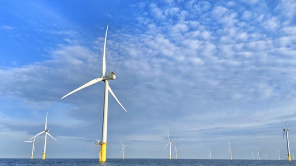 Chấn chỉnh công tác bảo vệ môi trường tại các dự án điện gió