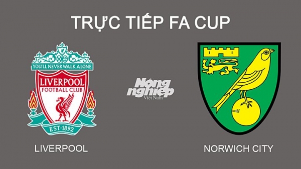 Trực tiếp Liverpool vs Norwich giải Cúp FA trên kênh FPTPlay hôm nay 3/3