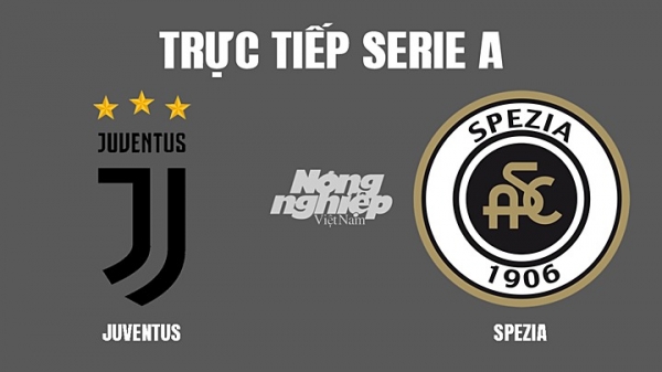 Trực tiếp Juventus vs Spezia giải Serie A trên ON Sports+ ngày 7/3