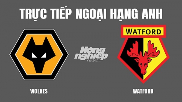 Trực tiếp Wolves vs Watford giải Ngoại hạng Anh trên K+ CINE hôm nay 11/3