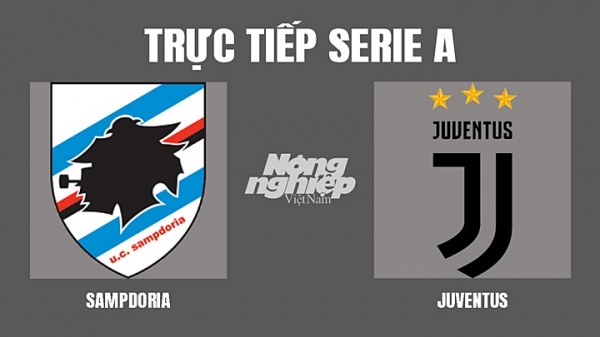 Trực tiếp Sampdoria vs Juventus giải Serie A trên On Sports+ ngày 13/3