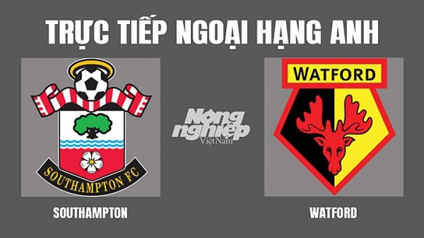 Trực tiếp Southampton vs Watford giải Ngoại hạng Anh trên K+ CINE hôm nay 13/3