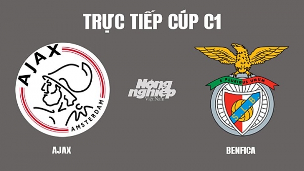 Trực tiếp Ajax vs Benfica giải Cúp C1 trên FPTPlay hôm nay 16/3