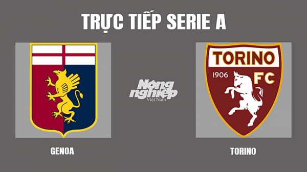 Trực tiếp Genoa vs Torino giải Serie A trên HTV9, On Sports+ hôm nay 19/3