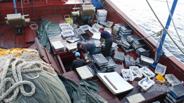 Gỡ rối trong bảo quản thủy sản trên tàu đánh bắt xa bờ