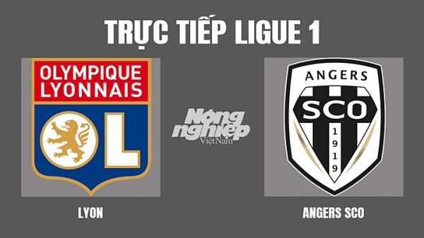 Trực tiếp Lyon vs Angers SCO giải Ligue 1 trên On Sports News hôm nay 3/4