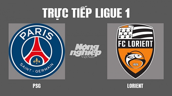 Trực tiếp PSG vs Lorient giải Ligue 1 trên On Sports News hôm nay 4/4