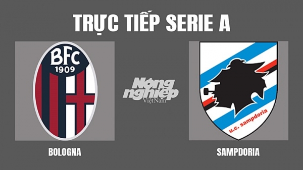 Trực tiếp Bologna vs Sampdoria giải Serie A trên On Sports+ hôm nay 12/4