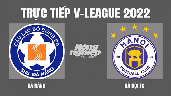 Trực tiếp Đà Nẵng vs Hà Nội giải V-League 2022 trên On Football hôm nay 11/4