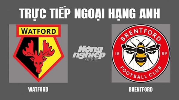 Trực tiếp Watford vs Brentford tại Ngoại hạng Anh trên K+ CINE hôm nay 16/4
