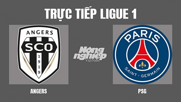 Trực tiếp Angers vs PSG giải Ligue 1 trên On Sports News hôm nay 21/4