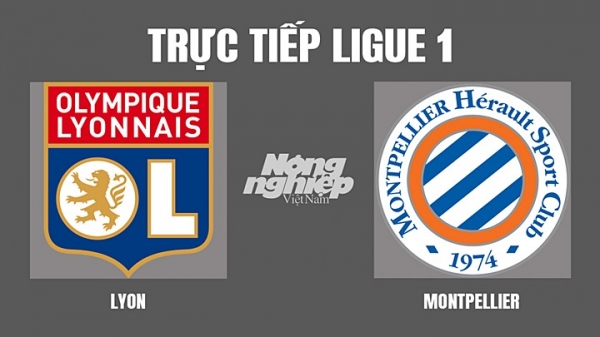Trực tiếp Lyon vs Montpellier giải Ligue 1 trên On Sports+ hôm nay 23/4