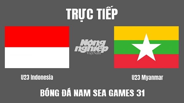 Trực tiếp U23 Indonesia vs Myanmar trên VTV6, On Football hôm nay 15/5
