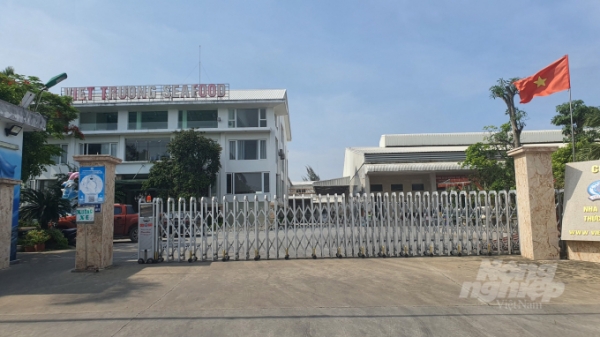 Di chuyển xưởng sản xuất bột cá gây ô nhiễm ở Đồ Sơn