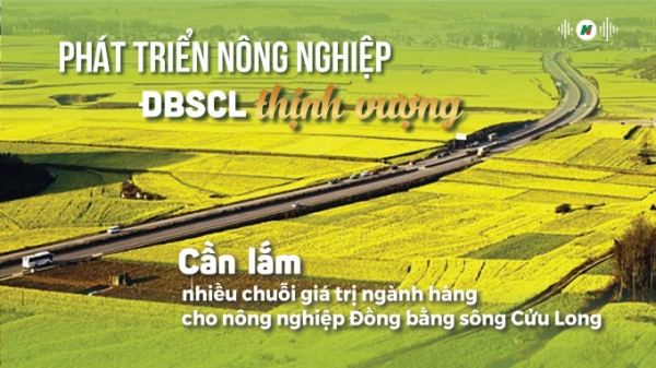 Cần lắm nhiều chuỗi giá trị ngành hàng cho nông nghiệp Đồng bằng sông Cửu Long