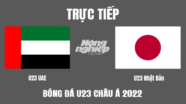 Trực tiếp UAE vs Nhật Bản giải U23 Châu Á trên VTV6, FPTPlay hôm nay 3/6