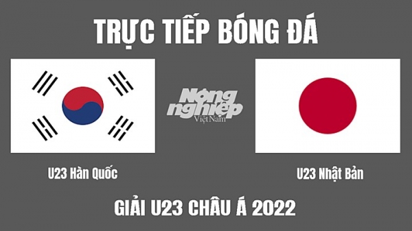 Trực tiếp Hàn Quốc vs Nhật Bản U23 Châu Á 2022 trên VTV6 hôm nay 12/6