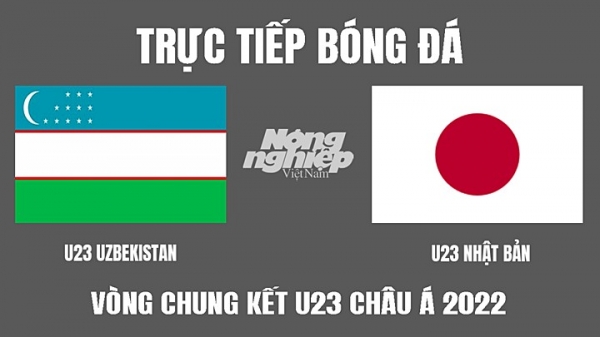 Trực tiếp Uzbekistan vs Nhật Bản giải U23 Châu Á 2022 trên VTV6 hôm nay 15/6