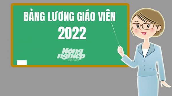 Bảng lương giáo viên 2022 mới và đầy đủ nhất