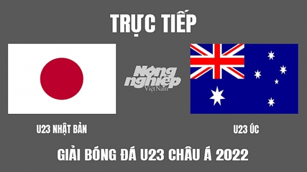 Trực tiếp Nhật Bản vs Úc giải U23 Châu Á 2022 trên VTV6 hôm nay 18/6