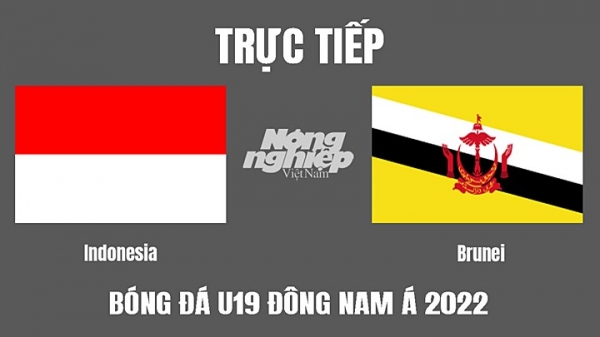 Trực tiếp Indonesia vs Brunei giải U19 Đông Nam Á 2022 trên FPTPlay hôm nay 4/7