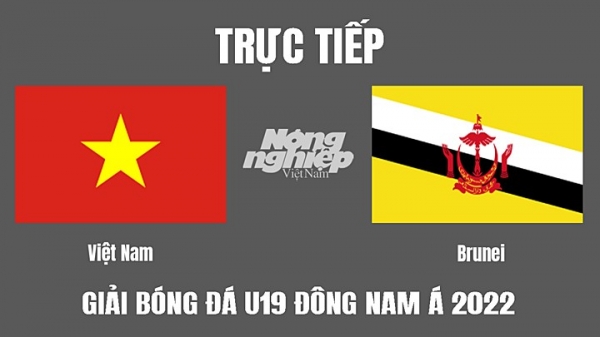 Trực tiếp Việt Nam vs Brunei U19 Đông Nam Á 2022 trên FPTPlay hôm nay 6/7