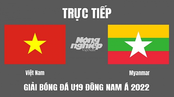 Trực tiếp Việt Nam vs Myanmar U19 Đông Nam Á 2022 trên FPTPlay hôm nay 8/7