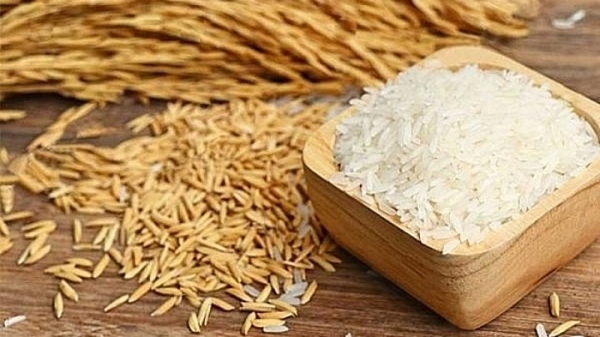 Giá lúa gạo hôm nay 2/8: Thị trường trong nước ổn định