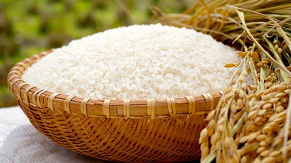 Giá lúa gạo hôm nay 5/8: Trong nước ít biến động