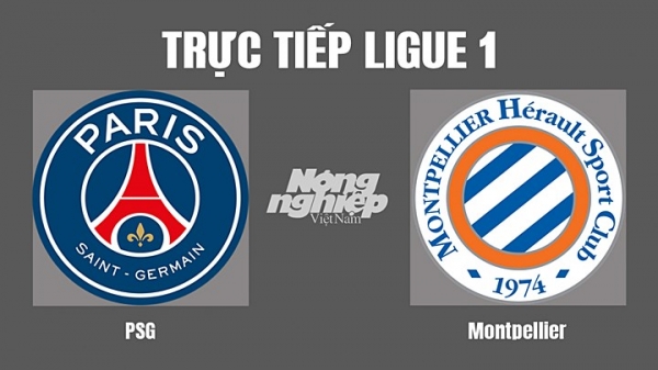 Trực tiếp PSG vs Montpellier trên kênh On Sports News hôm nay 14/8