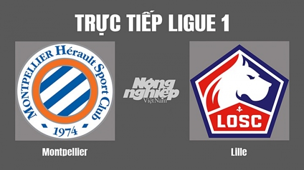 Trực tiếp Montpellier vs Lille trên kênh On Sports News hôm nay 4/9