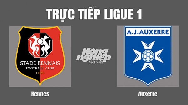 Trực tiếp Rennes vs Auxerre trên kênh On Sports News hôm nay 11/9