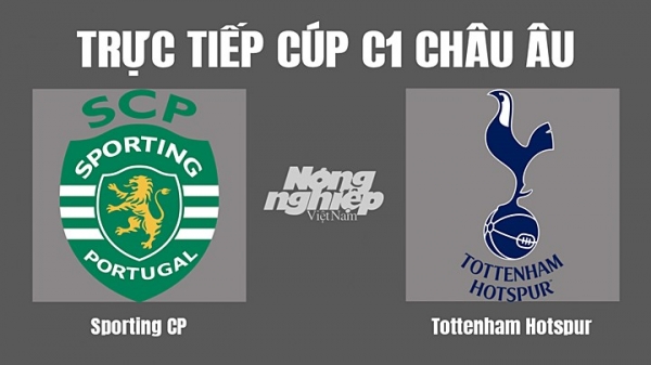 Trực tiếp Sporting Lisbon vs Tottenham trên kênh FPTPlay hôm nay 13/9
