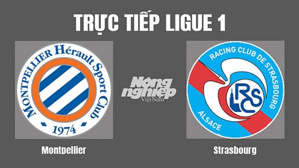 Trực tiếp Montpellier vs Strasbourg trên kênh On Sports+ hôm nay 17/9