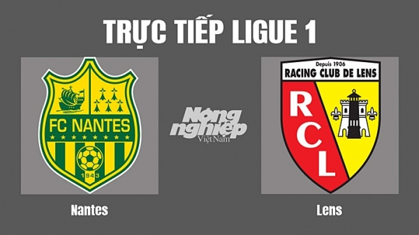 Trực tiếp Nantes vs Lens trên kênh Info TV hôm nay 18/9