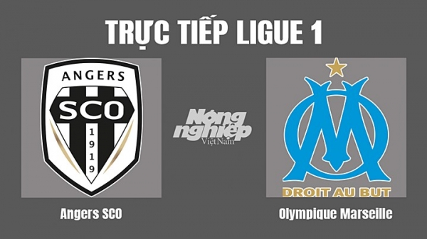 Trực tiếp Angers SCO vs Marseille trên kênh On Sports+ hôm nay 1/10