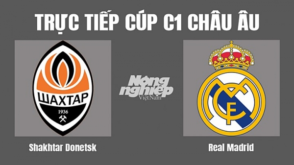 Trực tiếp Shakhtar Donetsk vs Real Madrid trên FPTPlay hôm nay 12/10
