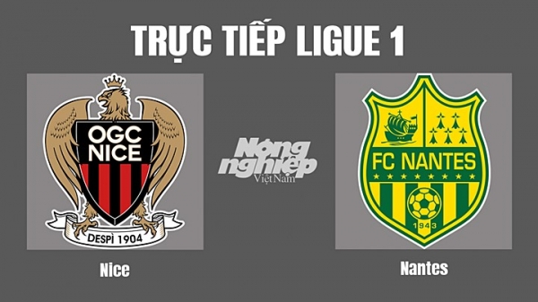 Trực tiếp Nice vs Nantes trên kênh Info TV hôm nay 23/10