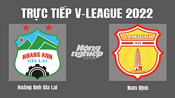 Trực tiếp HAGL vs Nam Định giải V-League 2022 trên VTV5 TN hôm nay 4/11